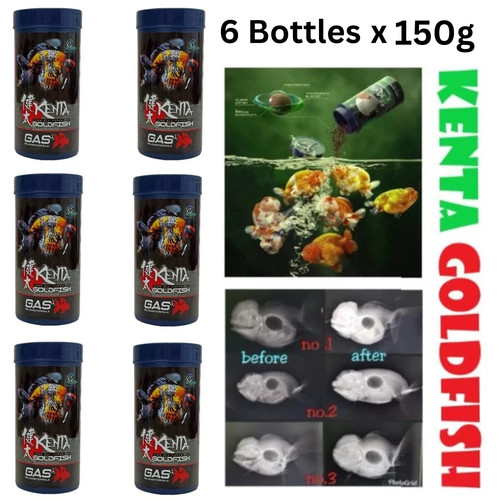 Aqua kenta goldfish - aqua,